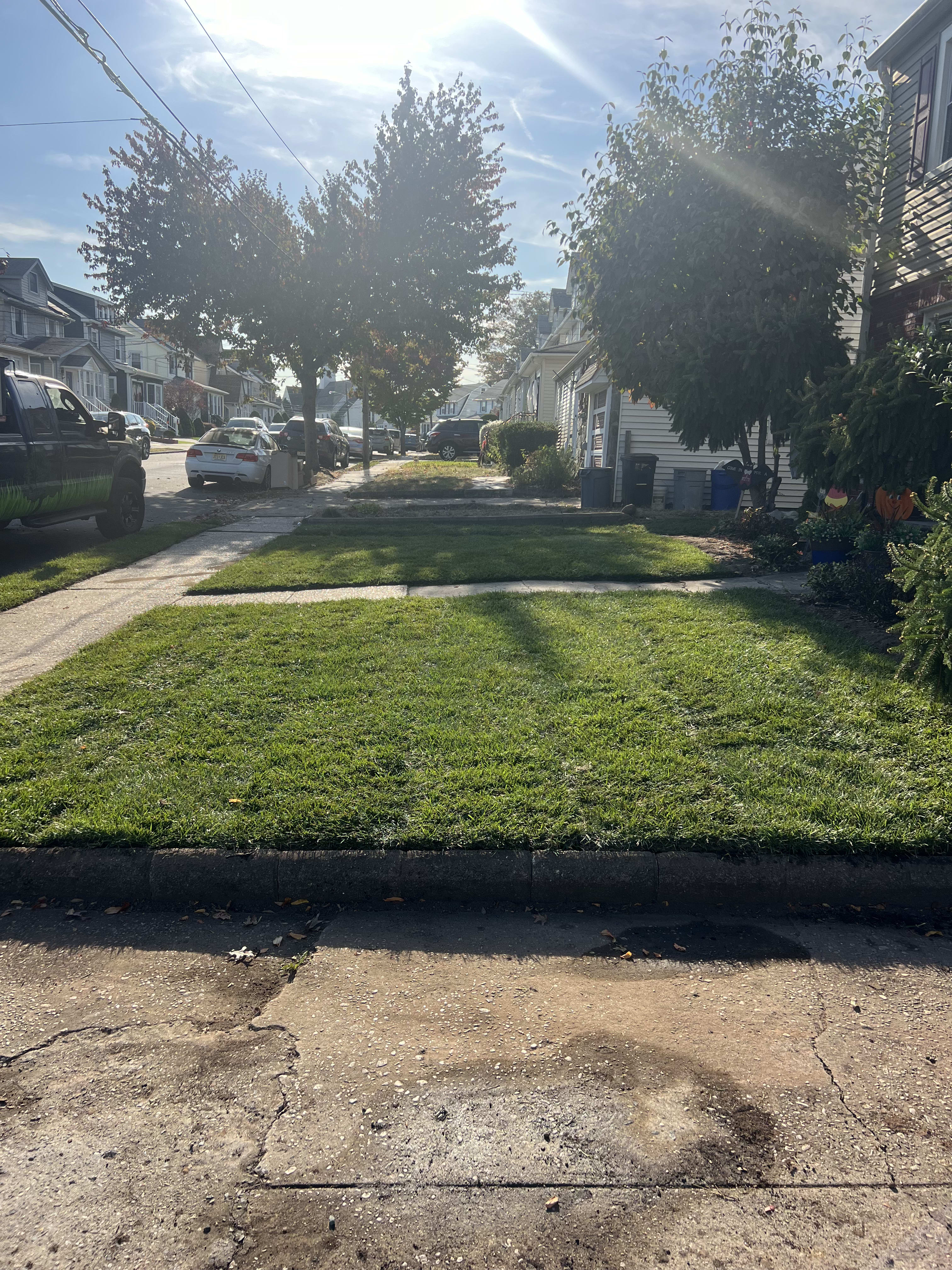 Sod install after
