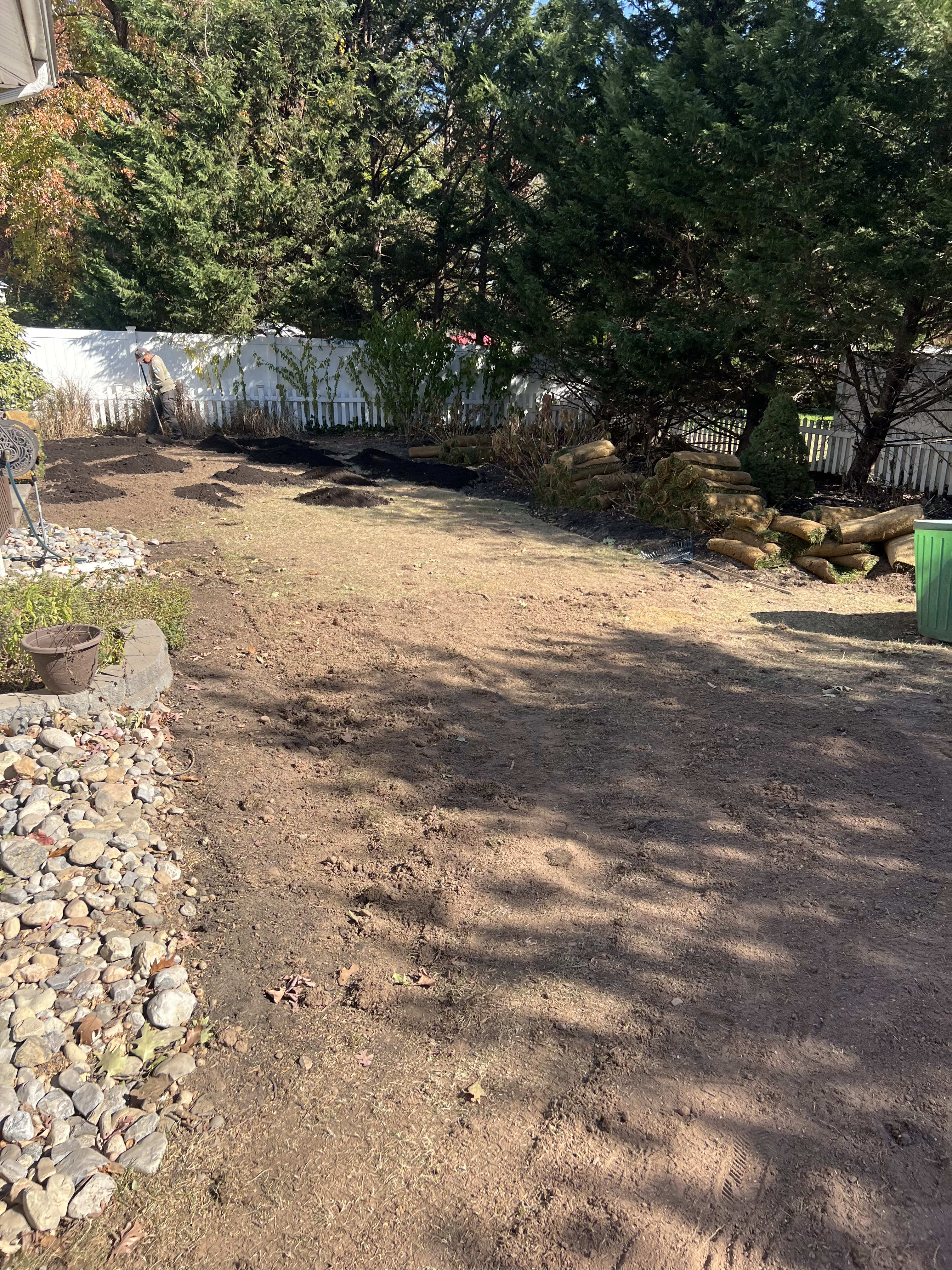 Backyard lawn before