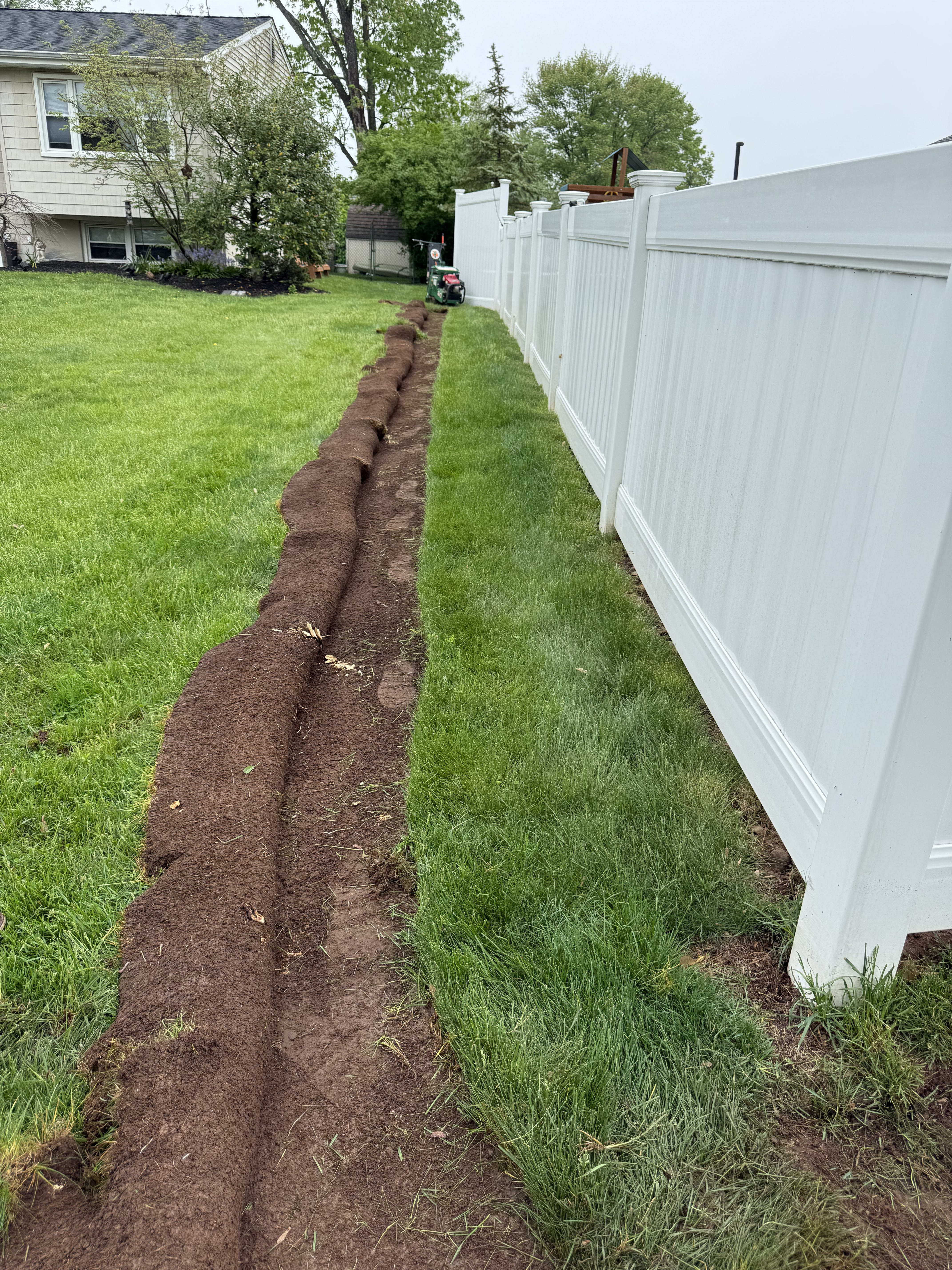 Front yard before redesign