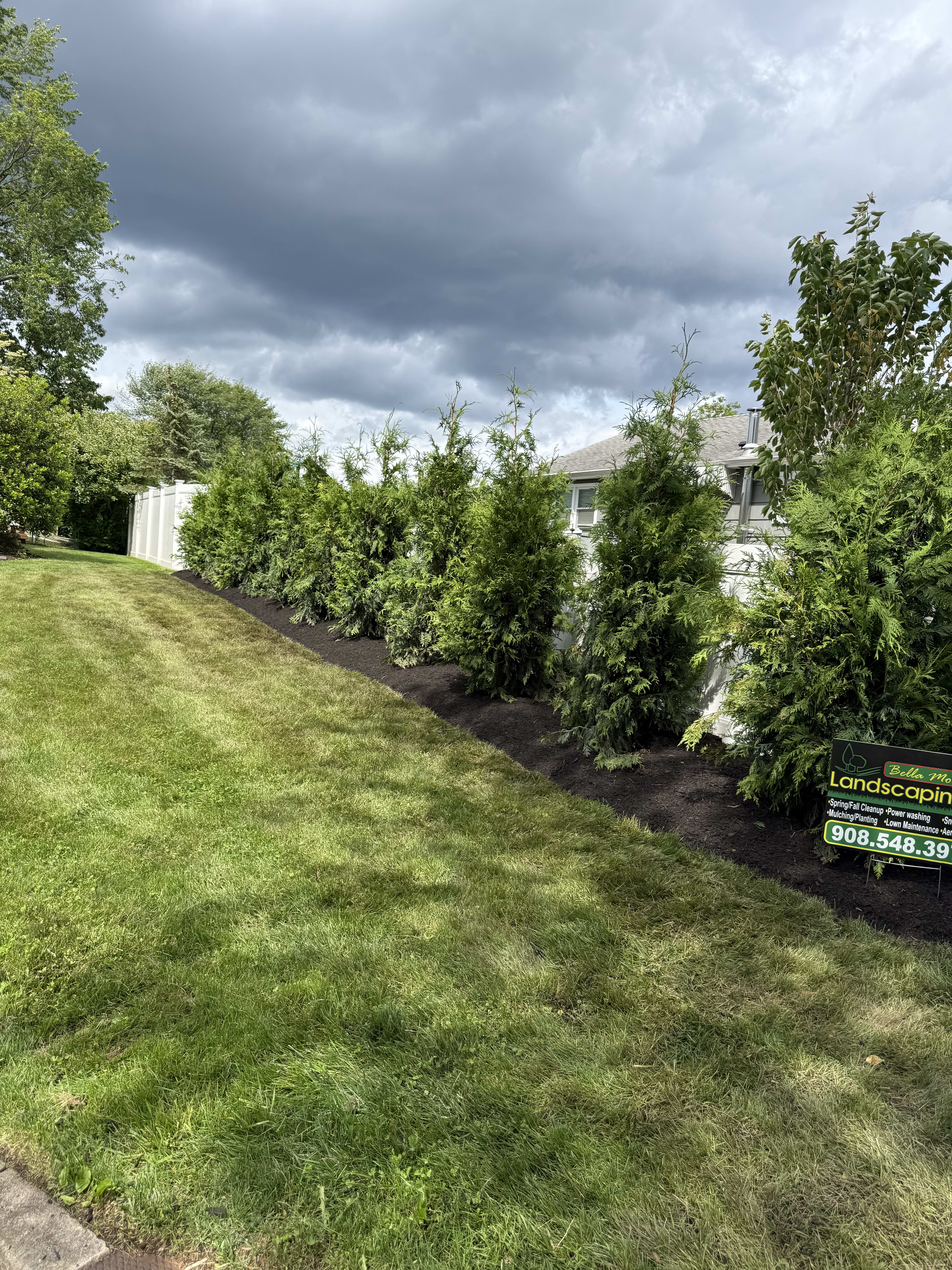 Front yard after redesign