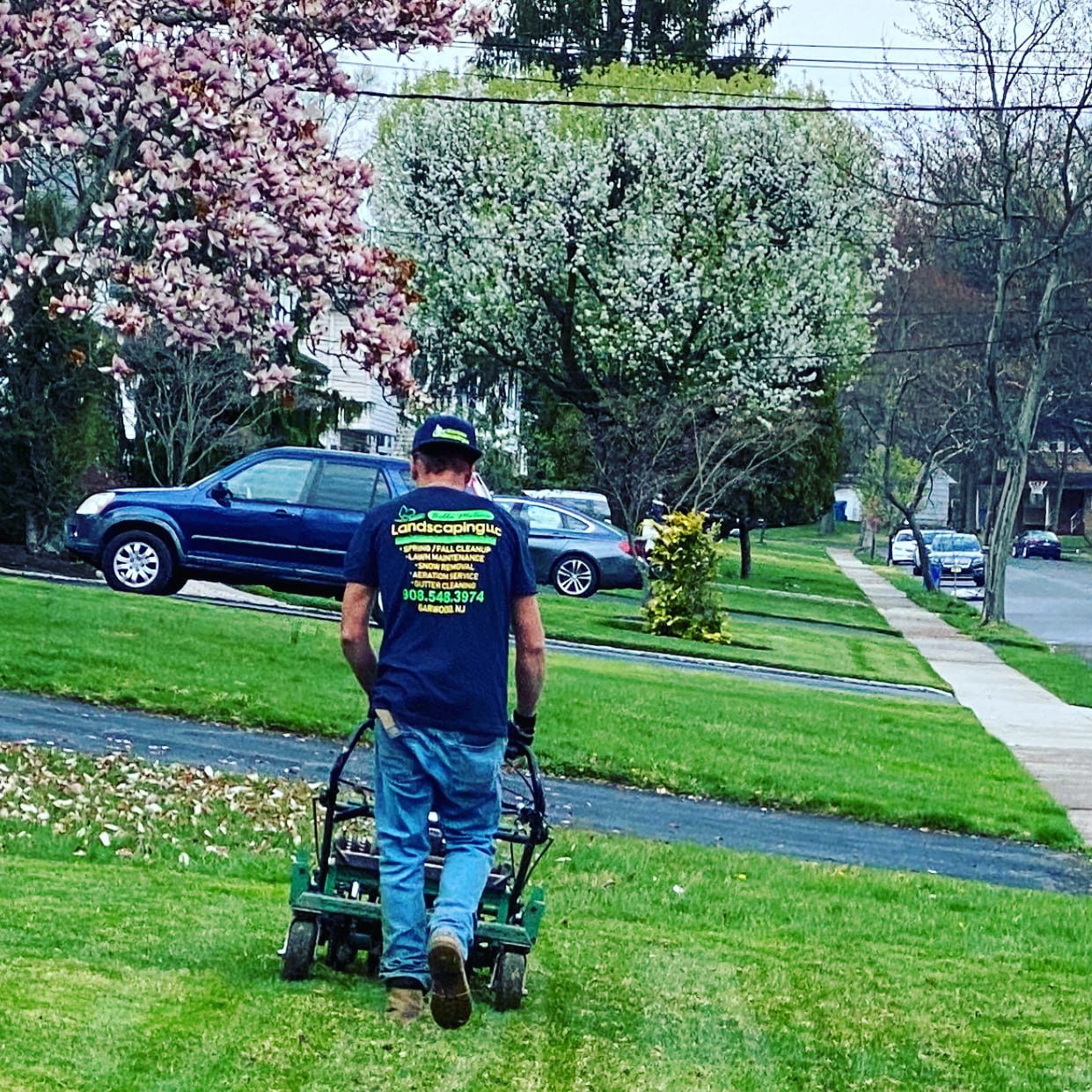 Lawn aeration by Bella Molina