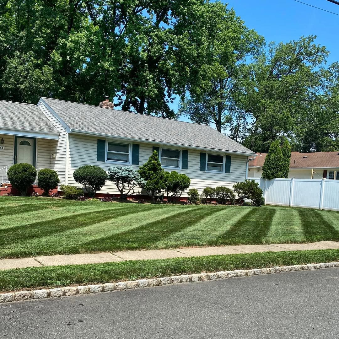 Bella Molina landscaping work