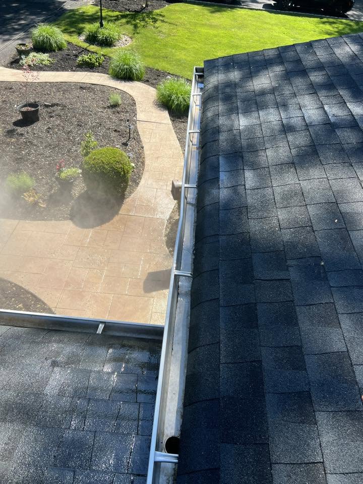 Gutters and roof cleaning
