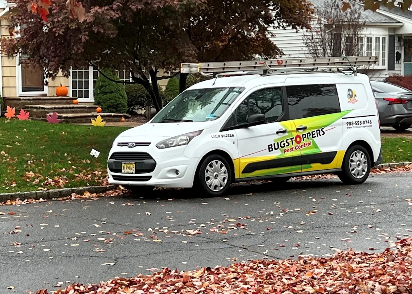 Bugstoppers pest control project
