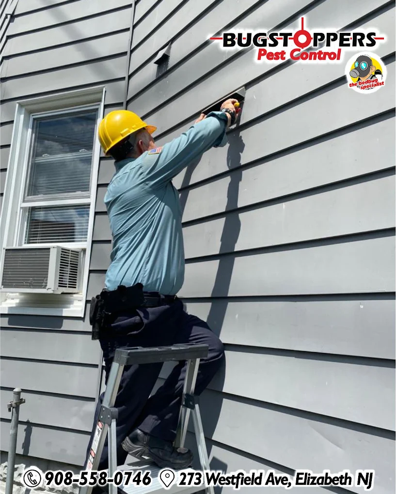 Bugstoppers pest control project