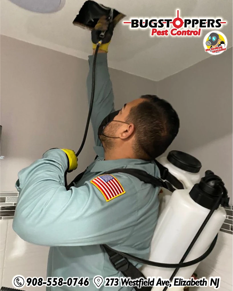 Bugstoppers pest control project