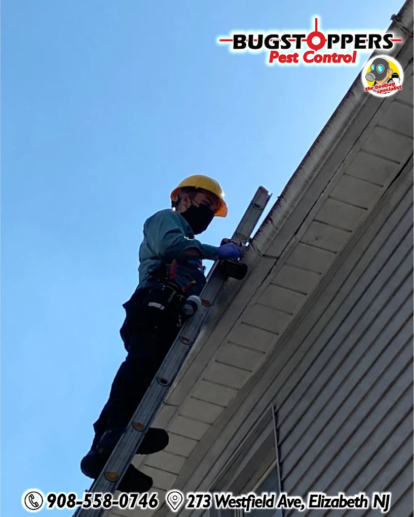 Bugstoppers pest control project
