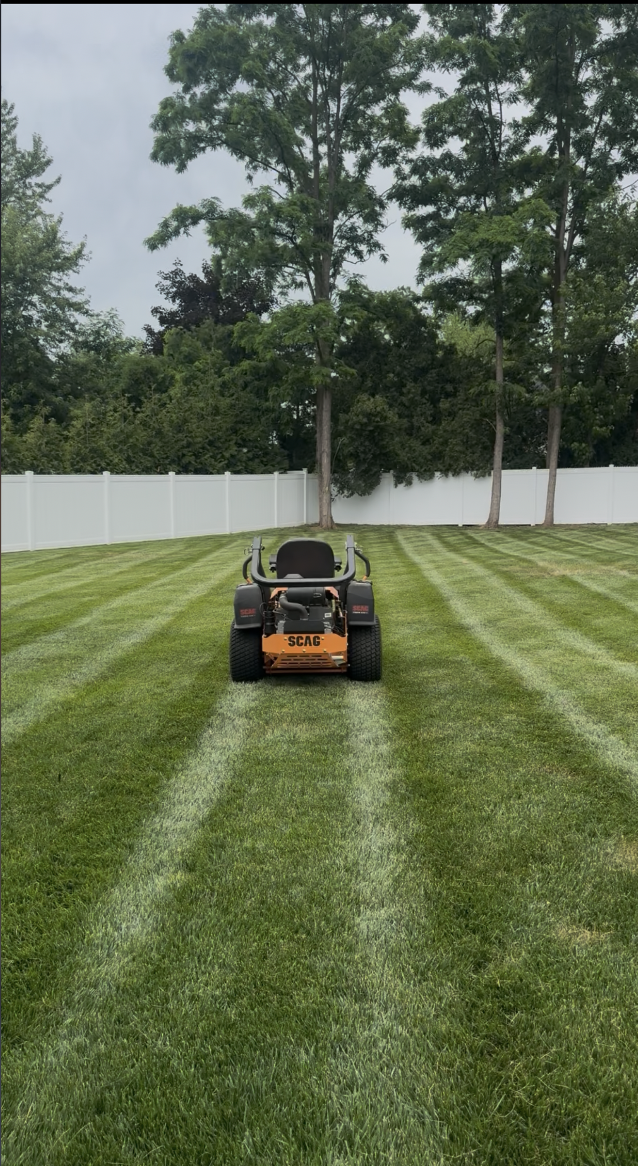 Healthy manicured lawn after Bella Molina service