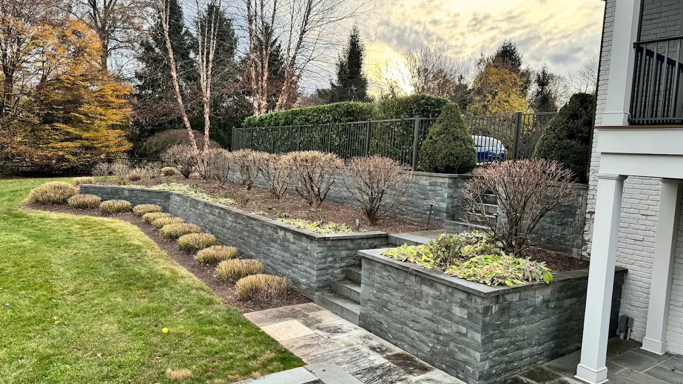 Front yard design