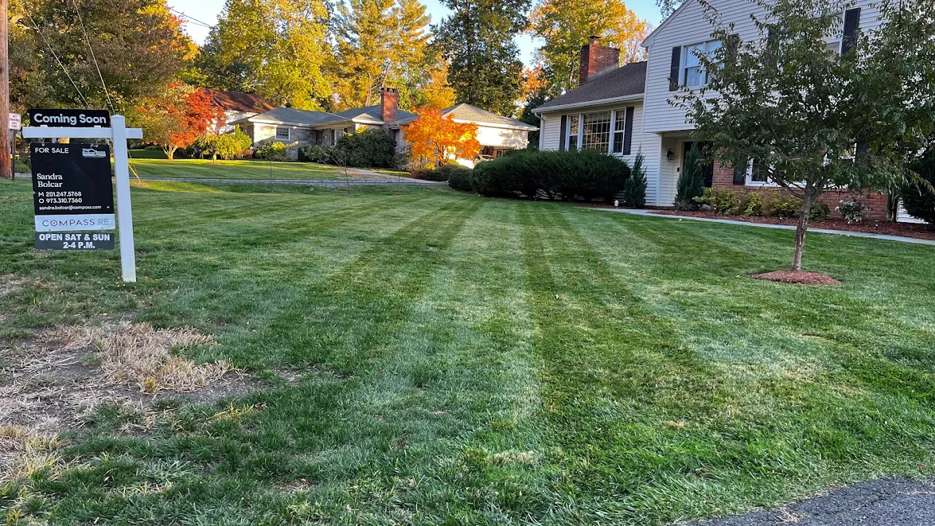 Manicured property