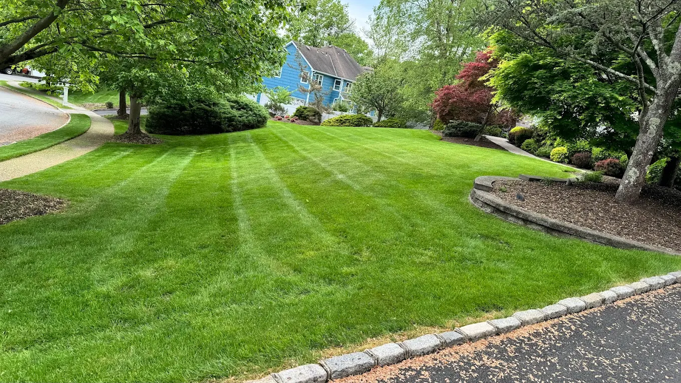 Manicured lawn