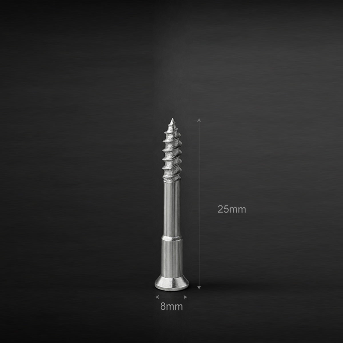Self-Tapping Dual- Purpose Screw 自攻双用螺丝 M4×25mm 1000/pkt