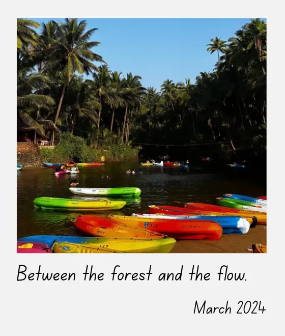 Postcard 9