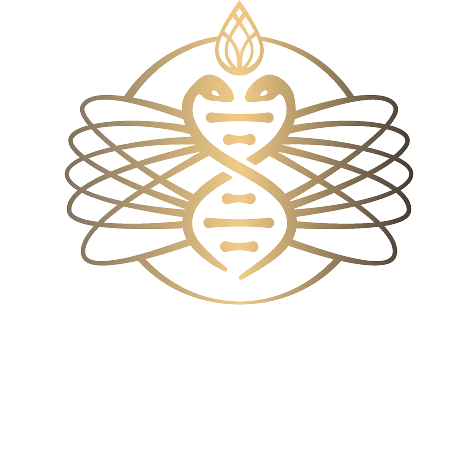 Medicine Festival