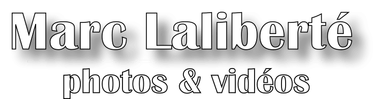Marc Laliberte Photo et Vidéos logo