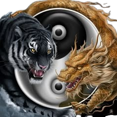 Agen Togel MPO