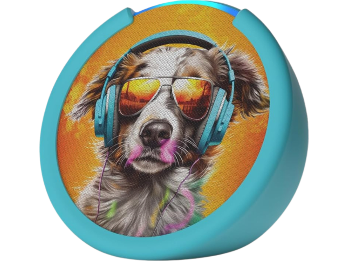 Amazon Echo Pop Kids anthro pop