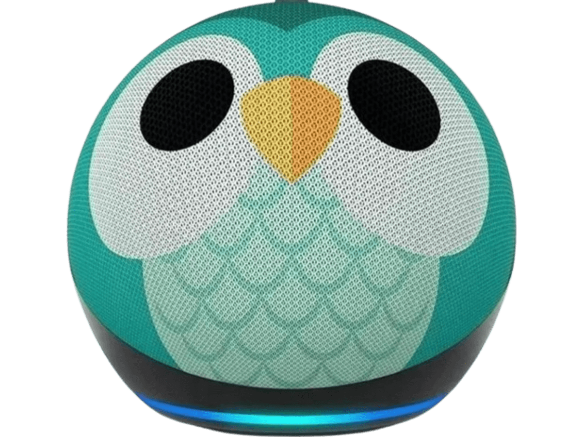 Echo Dot Buho