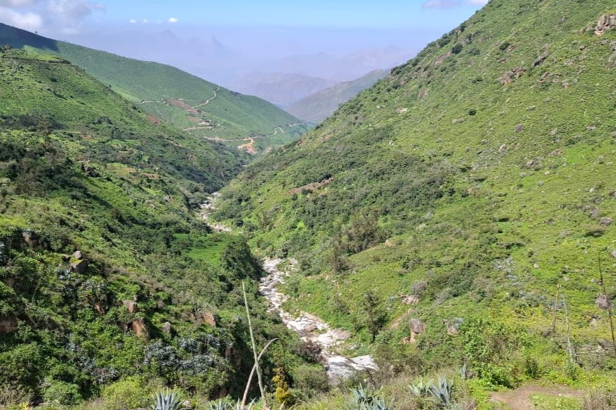 Vista de la ruta