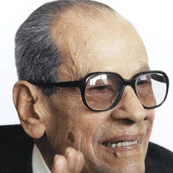 المعارضة الروائية