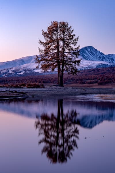 Description of my image