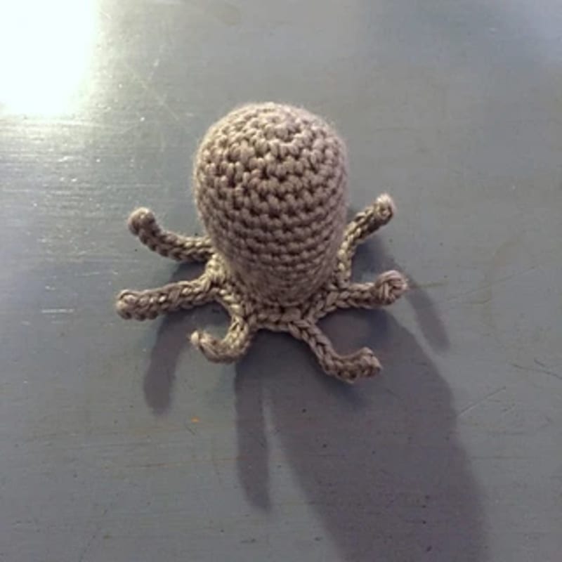 ## Sea Life — Octopus