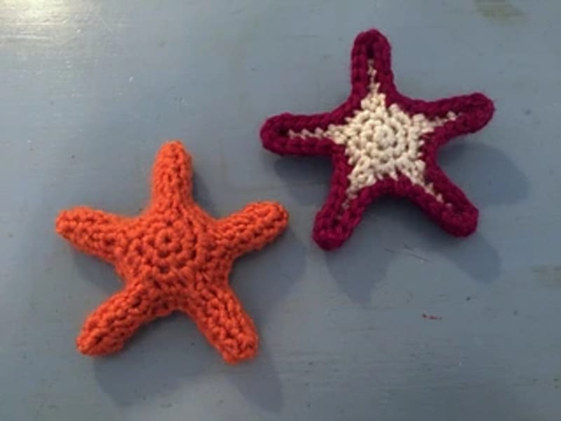 ## Sea Life — Ochre Sea Star