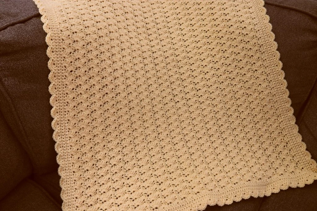 ## Delicate Shell Baby Blanket