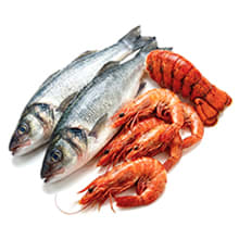 Fresh Fish and Shellfish