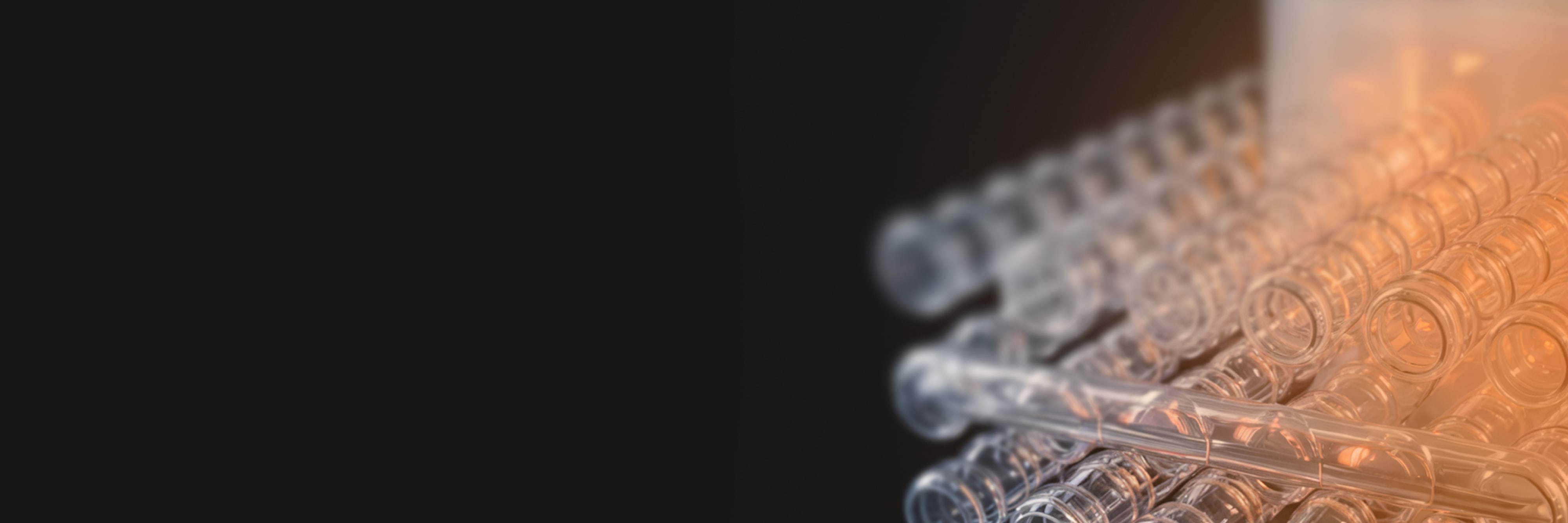 Optional Electric Heat Backup