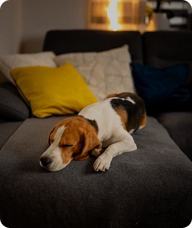 Energy-Saving DC Motor The multi-speed, direct-drive motor ensures quiet and efficient airflow.