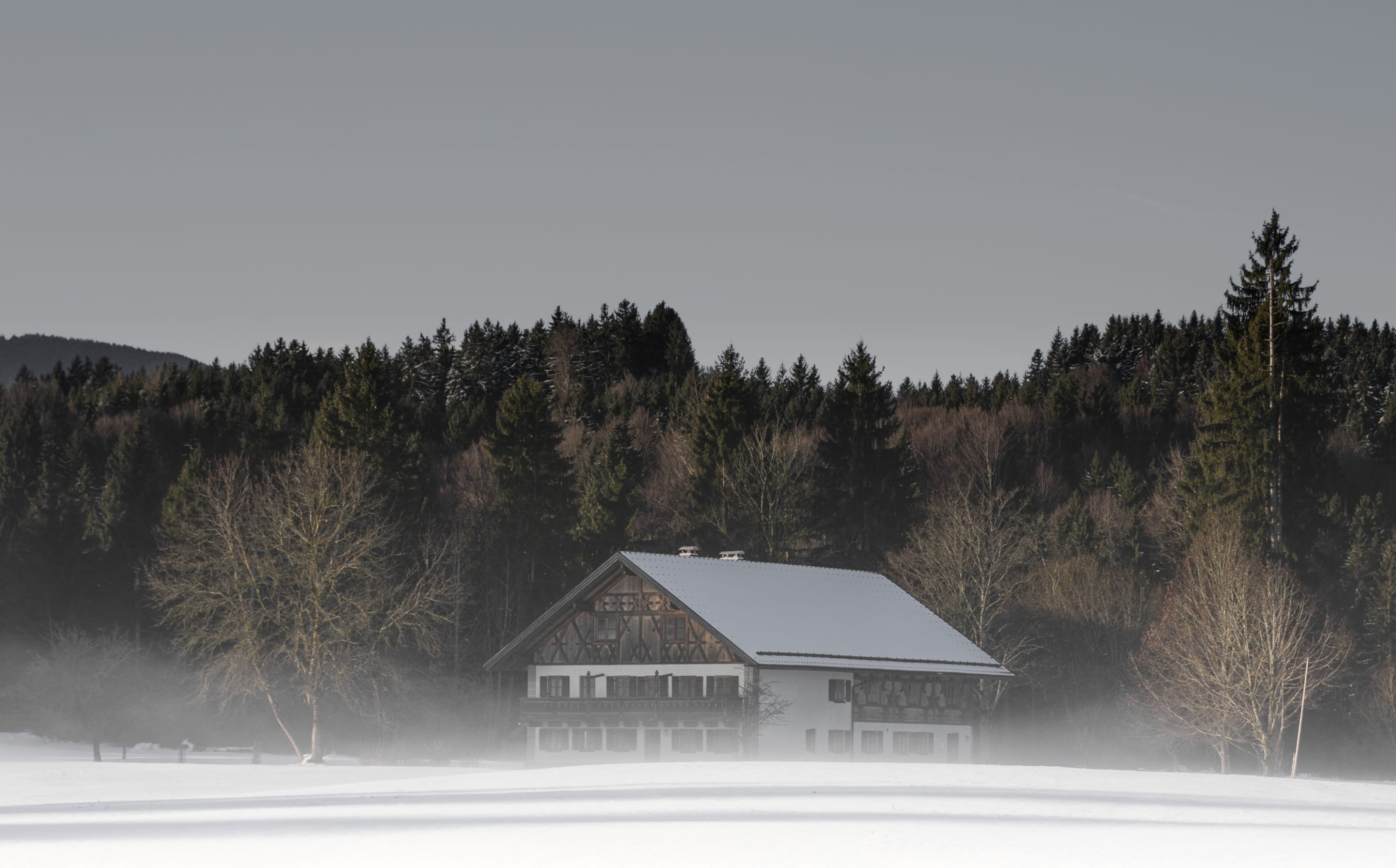 Stay Ahead Of The Cold