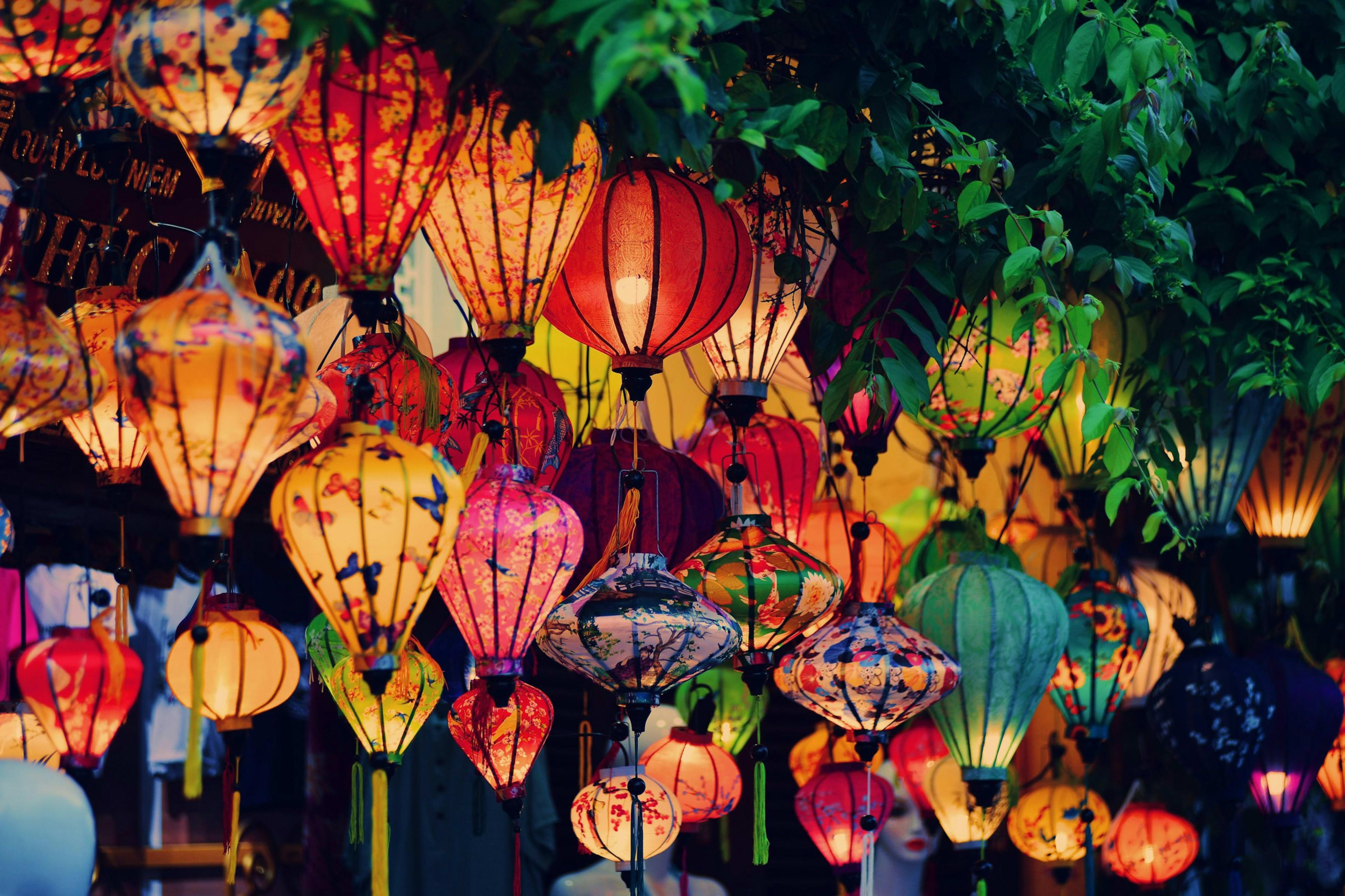 A canopy of lit silk lanterns in every colour and shape hanging close together under leaves.