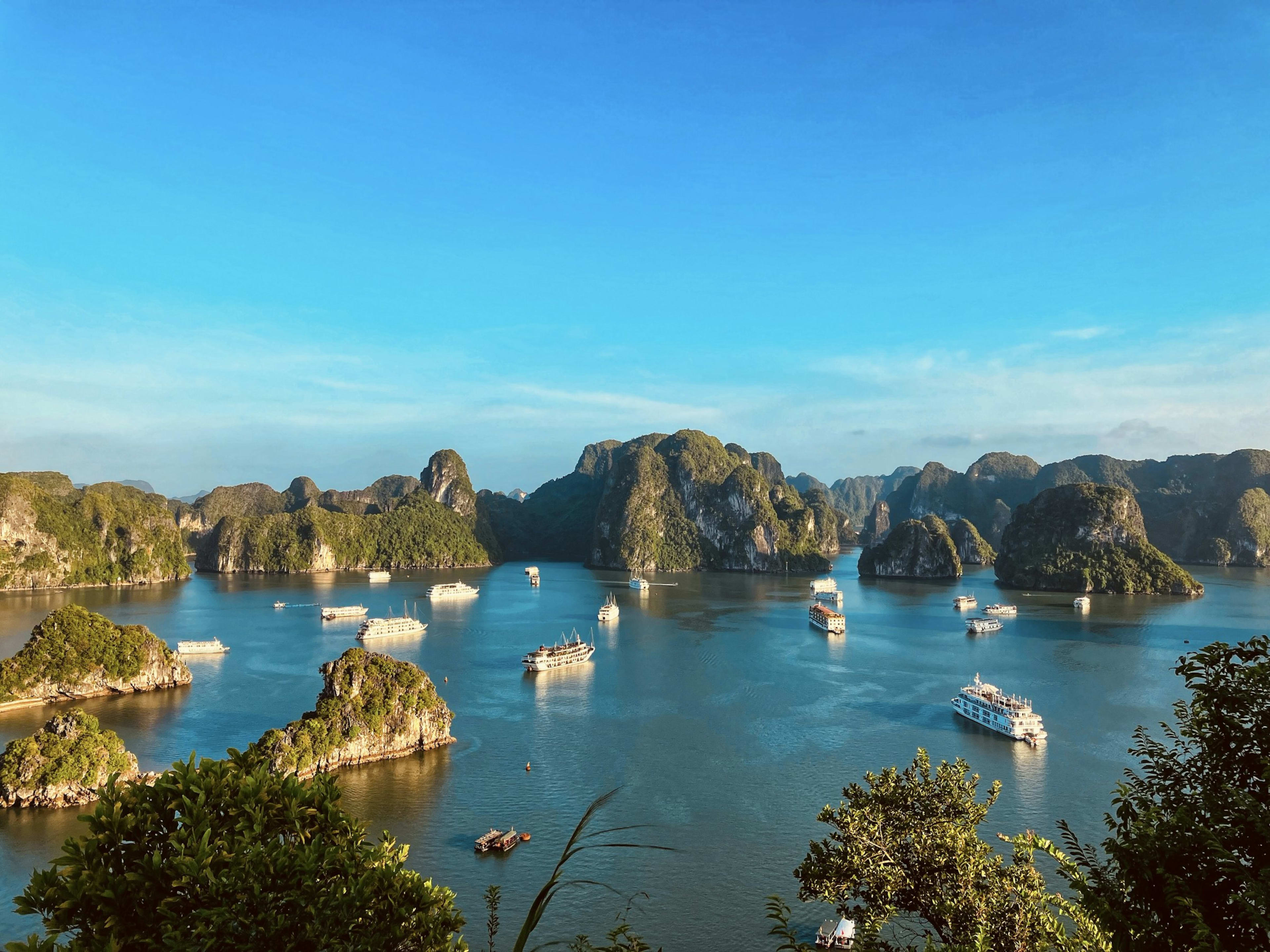 Cruise boats scattered across a bay of forested karst islands under a clear blue sky, seen from a hilltop.