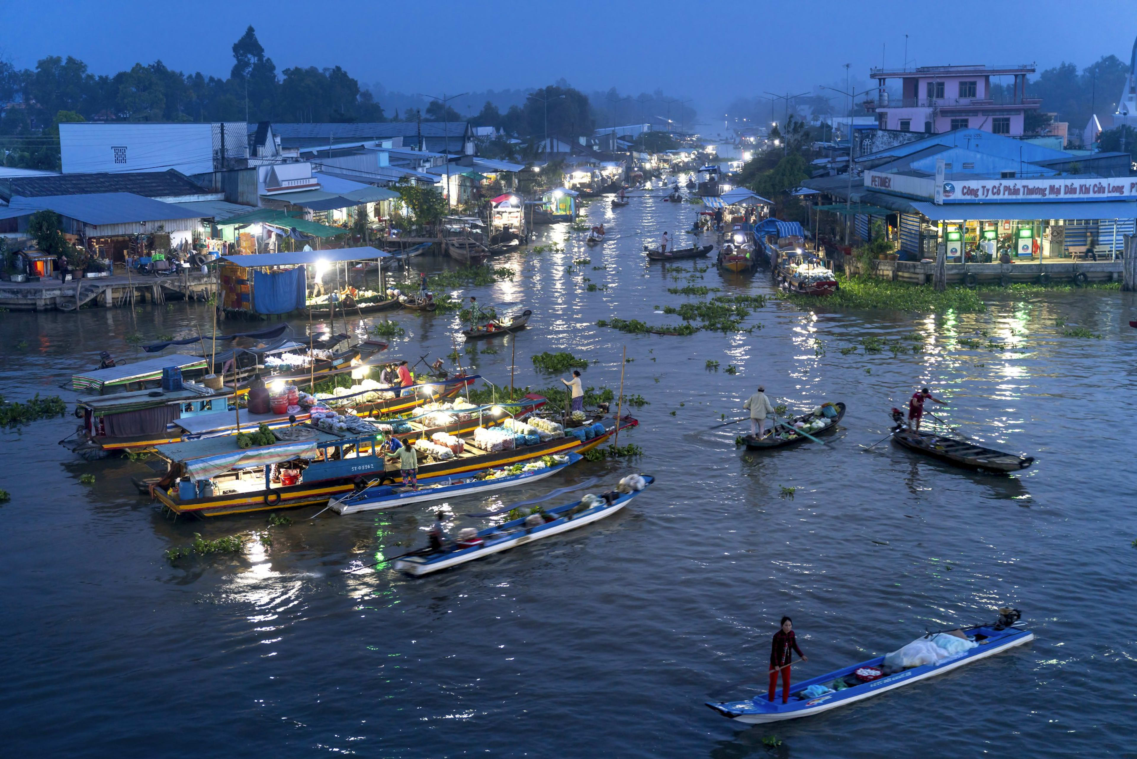 Cái Răng floating market at blue hour, produce boats rafted together under strings of light while a trader poles past drifting water hyacinth.