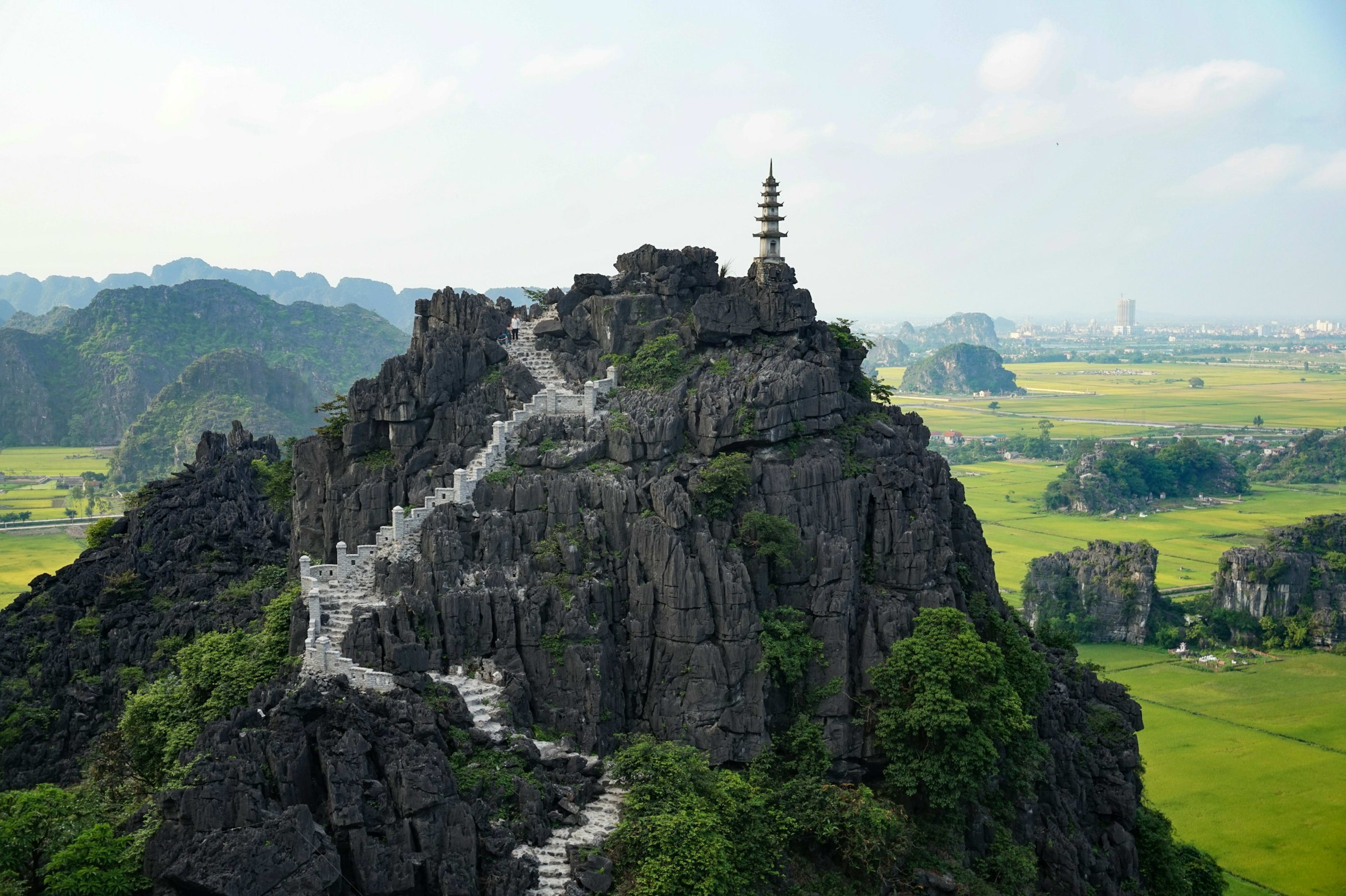 The stone stairway at Mua Cave winding up a jagged karst peak to a small pagoda tower, green rice fields spreading to the horizon below.