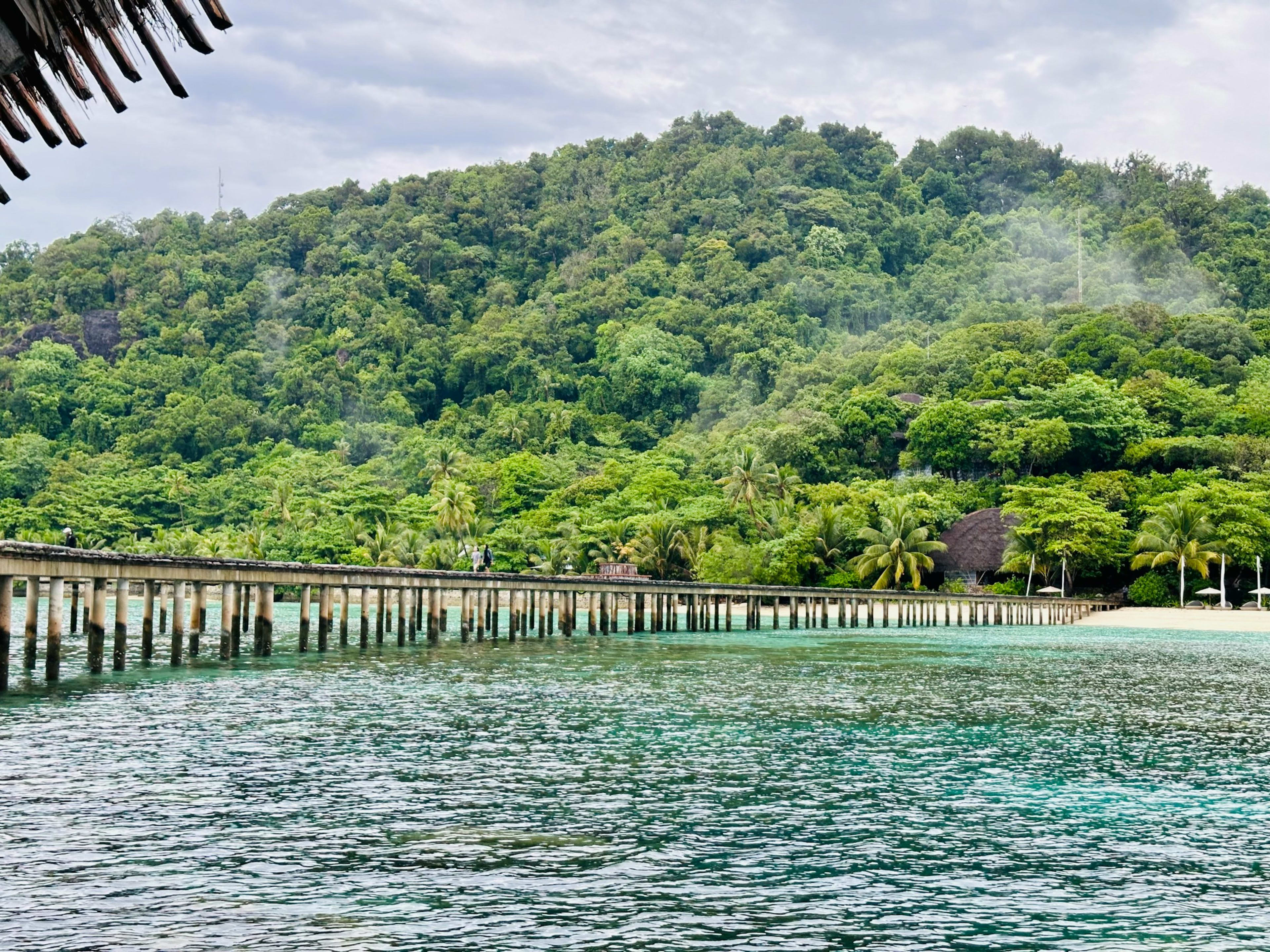 A long low wooden pier running out to a jungle-covered hillside above clear green water.