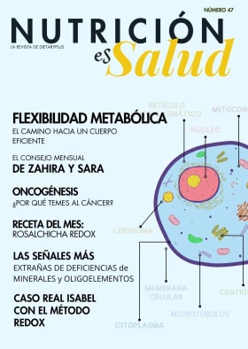 Revista Numero 47 - Noviembre 2024: Resistencia a la Insulina