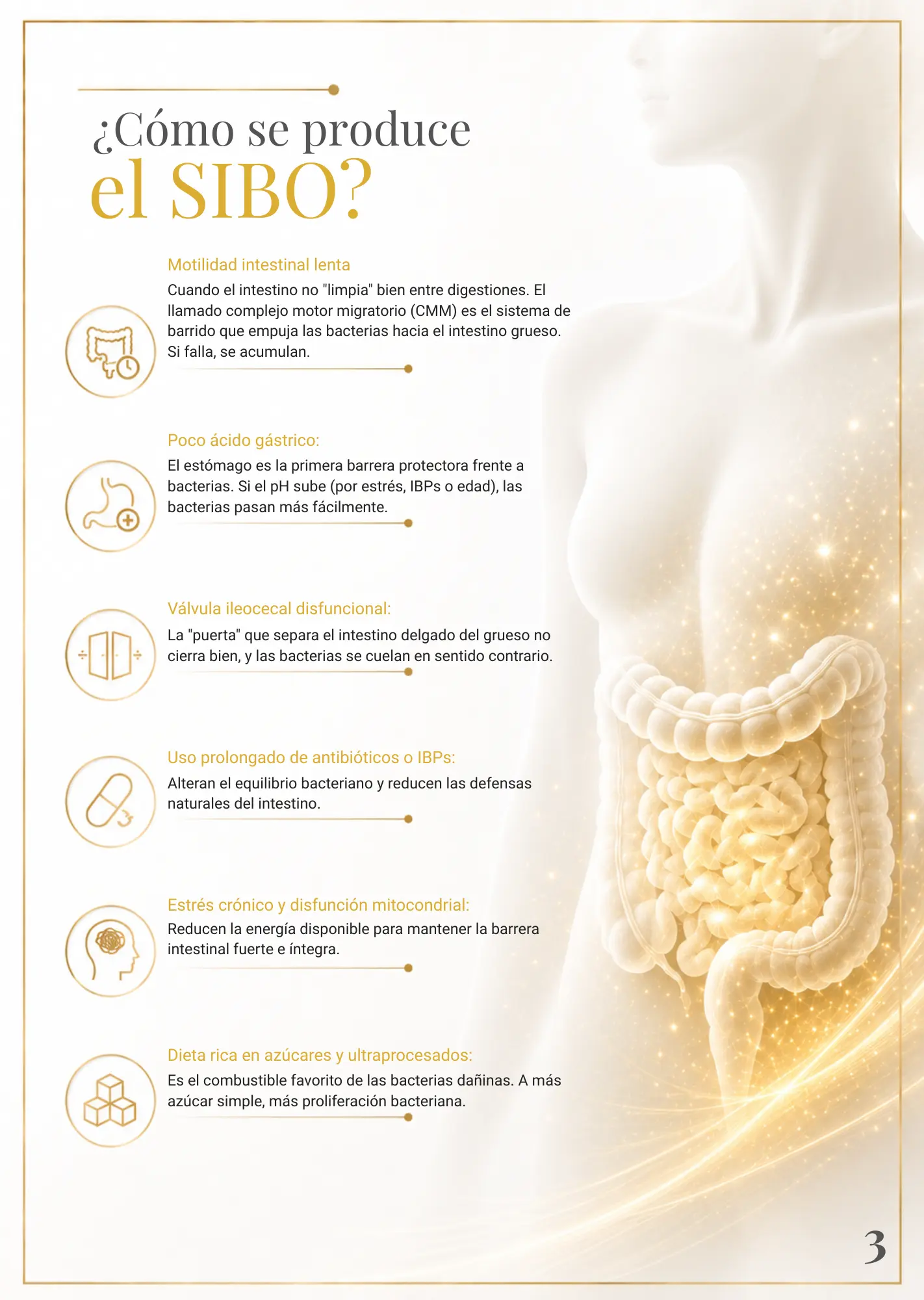 Infografía sobre las 6 causas del SIBO: motilidad intestinal lenta, poco ácido gástrico, válvula ileocecal disfuncional, antibióticos y omeprazol, estrés crónico con disfunción mitocondrial, y dieta rica en azúcares