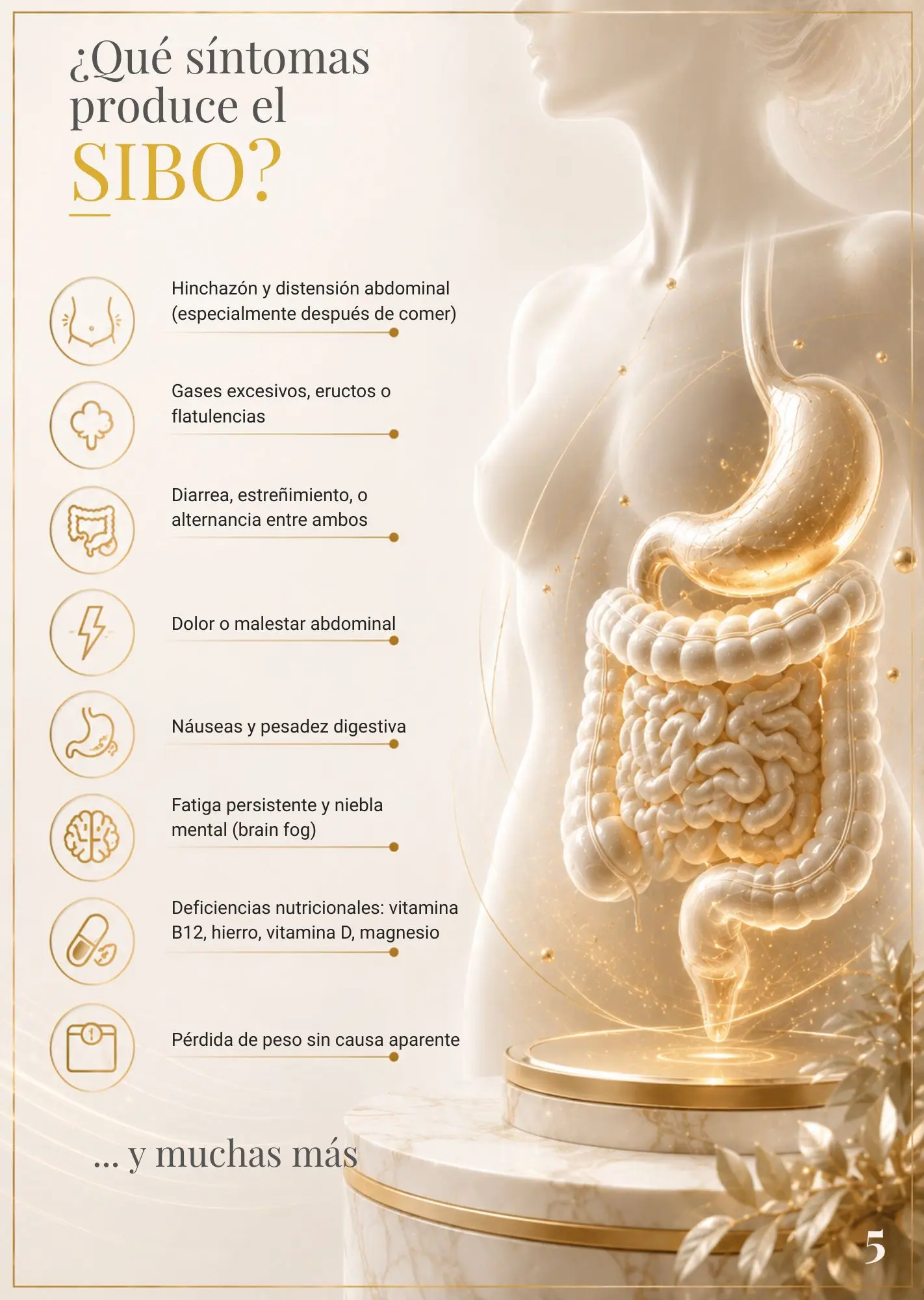Infografía sobre los 8 síntomas principales del SIBO: hinchazón abdominal, gases, alteraciones del tránsito, dolor abdominal, náuseas, fatiga, niebla mental, déficits nutricionales y pérdida de peso