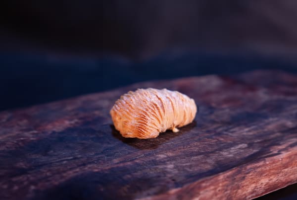 Aragostine pistache - Image 1
