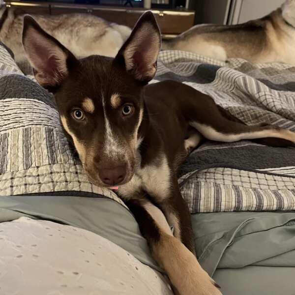 Foto von Ruben Vanesbroeck