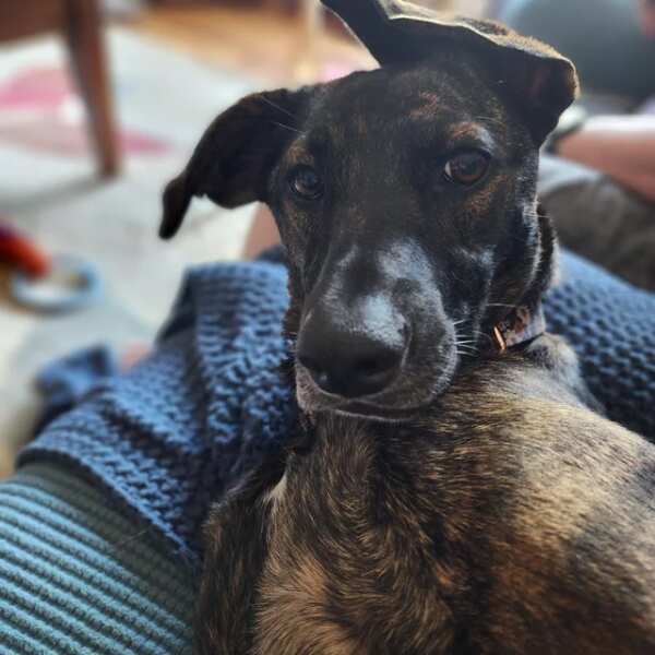 Foto von Sabine Meeus