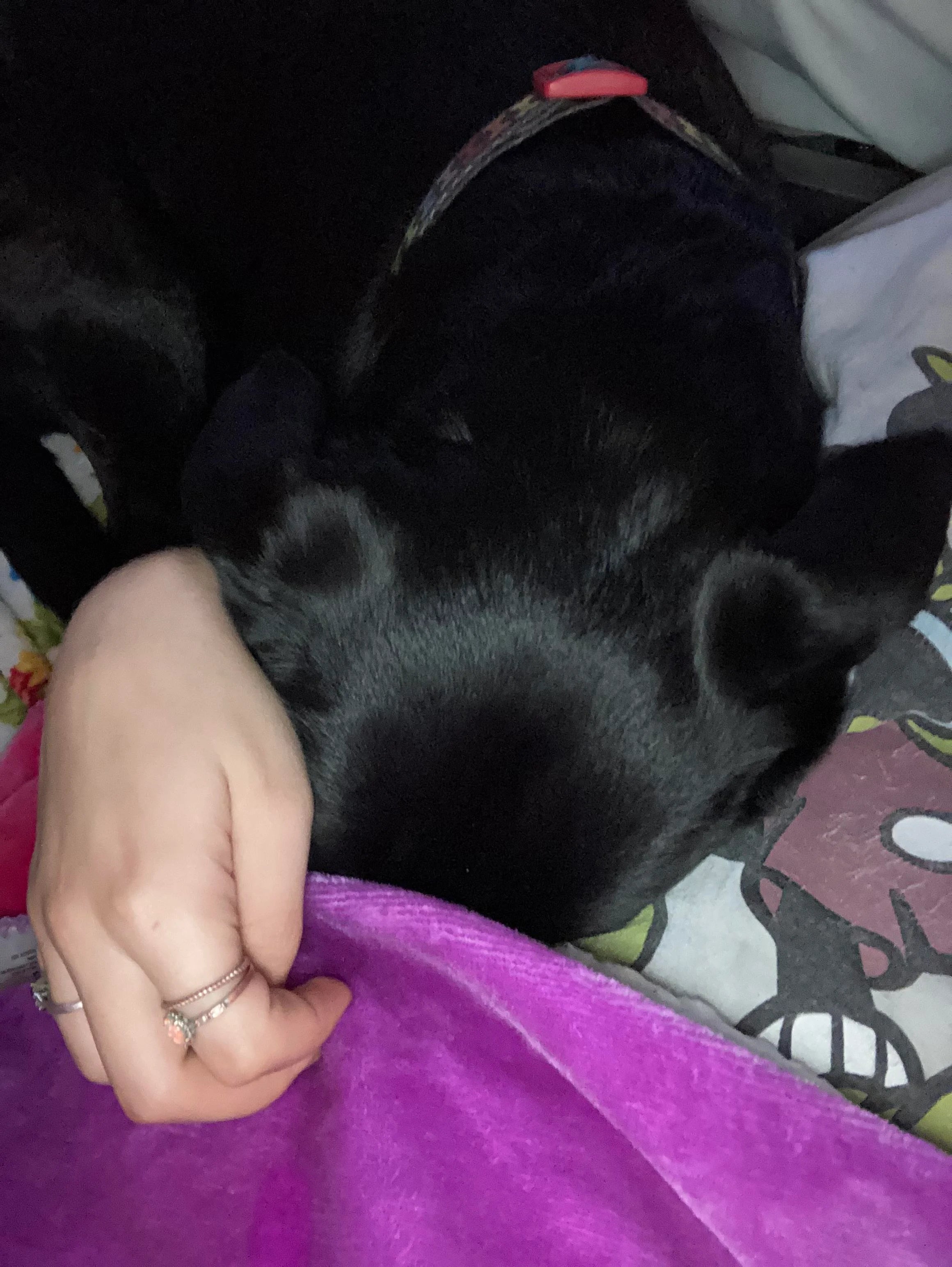 Rustiger en Stabieler