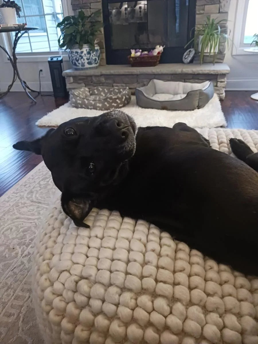 Ontspannen en Gelukkig