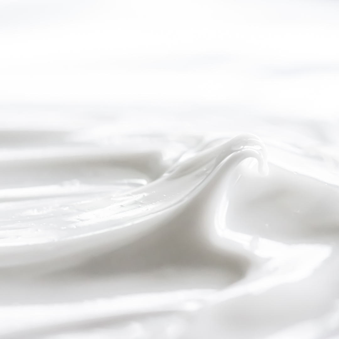 Enterococcus Faecium