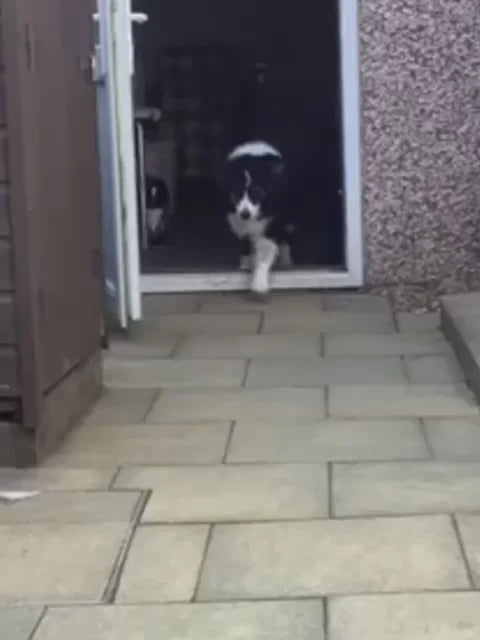 Eingeschränkte Mobilität