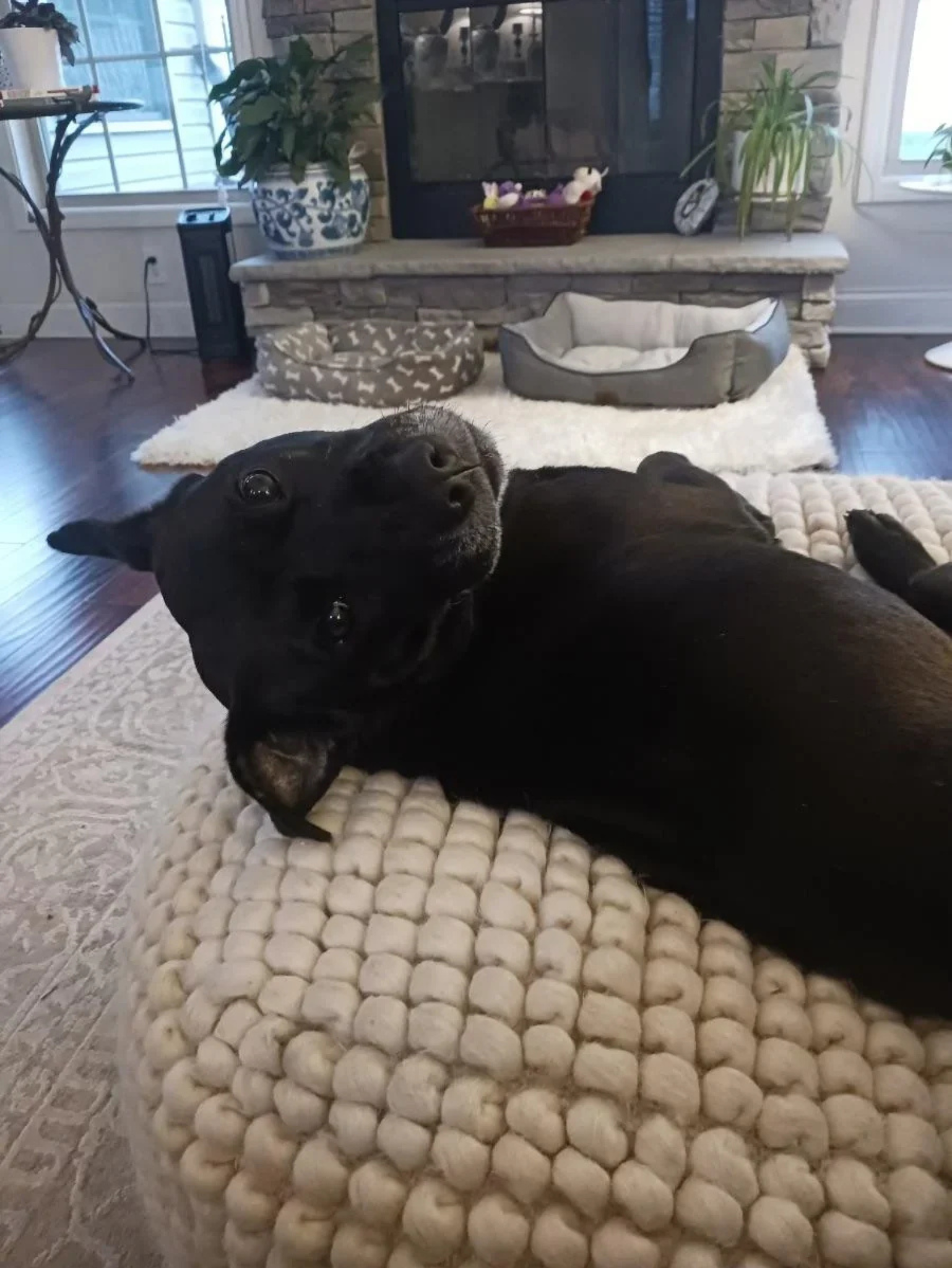 Entspannt und glücklich