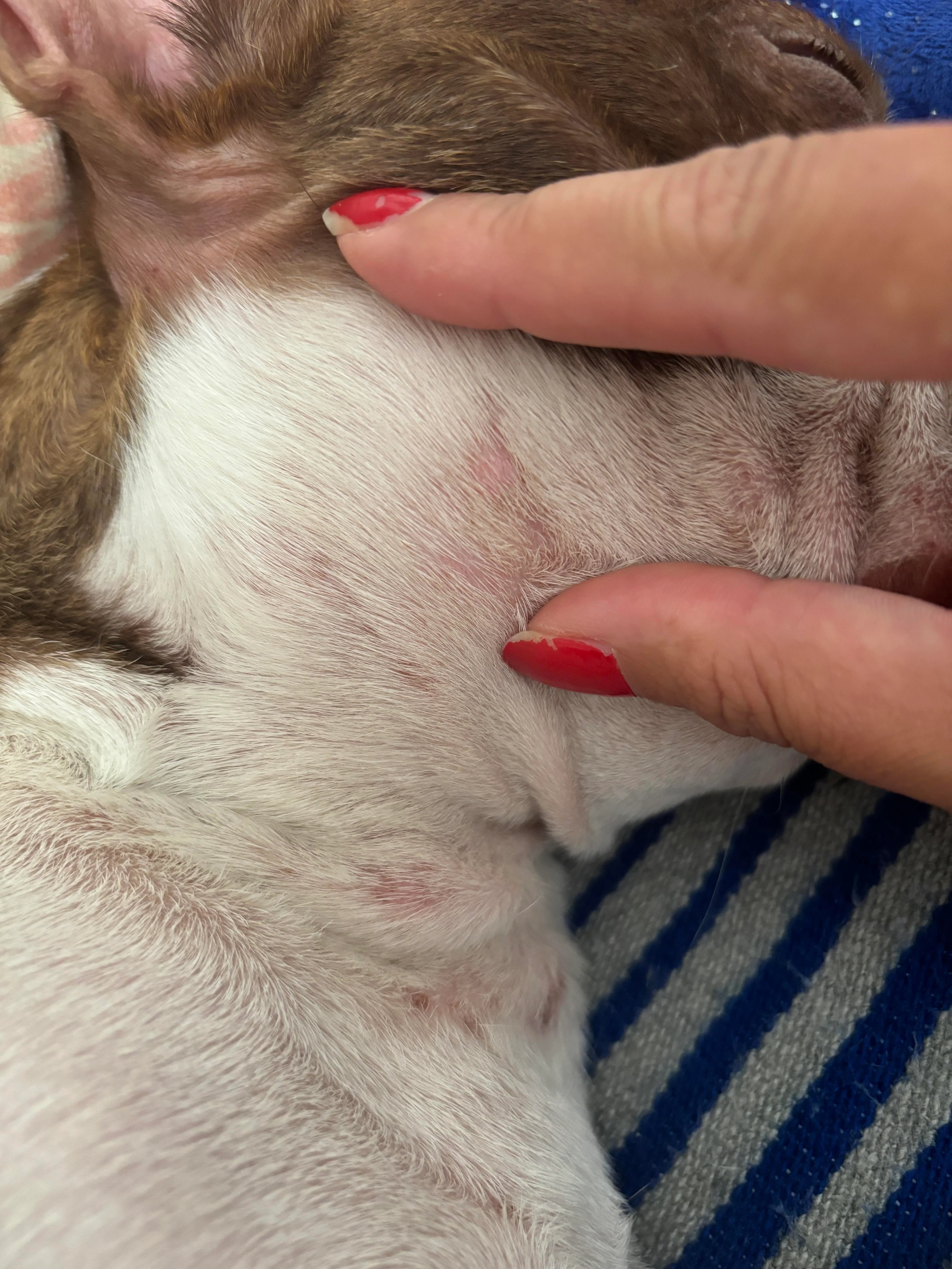 Weniger Kratzen, ruhigere Haut