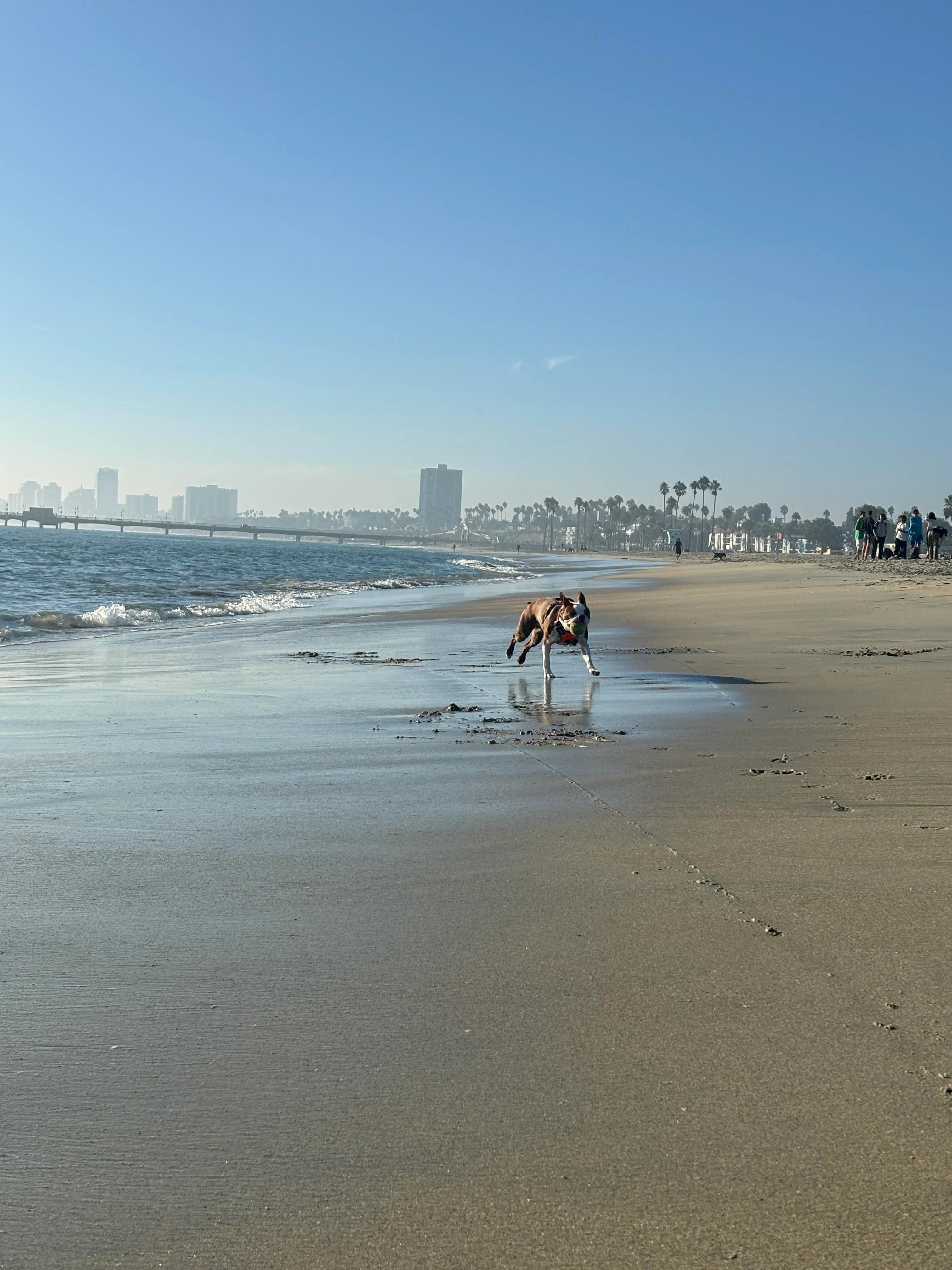 Jeukvrij en gelukkig!